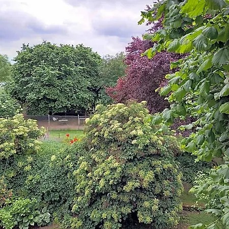 Lindenzimmer Stoecken Oda ve Kahvaltı Oetzen
