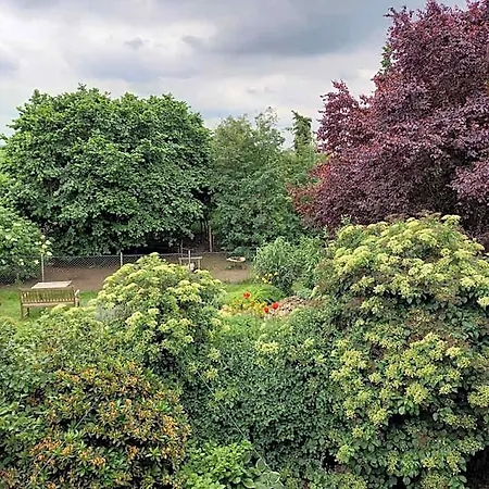 Lindenzimmer Stoecken Oda ve Kahvaltı